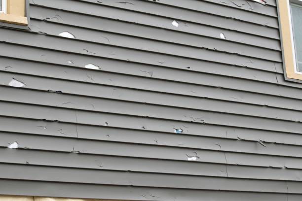 Reliable Piedmont, AL Siding Services Solutions